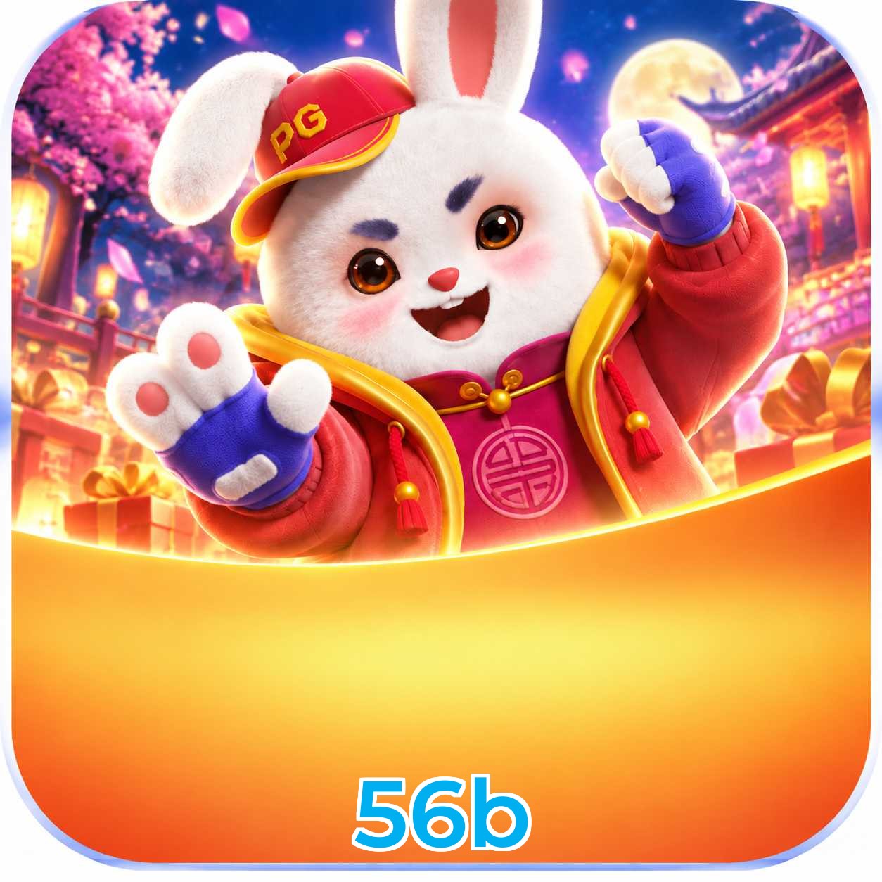 56b App FAQ