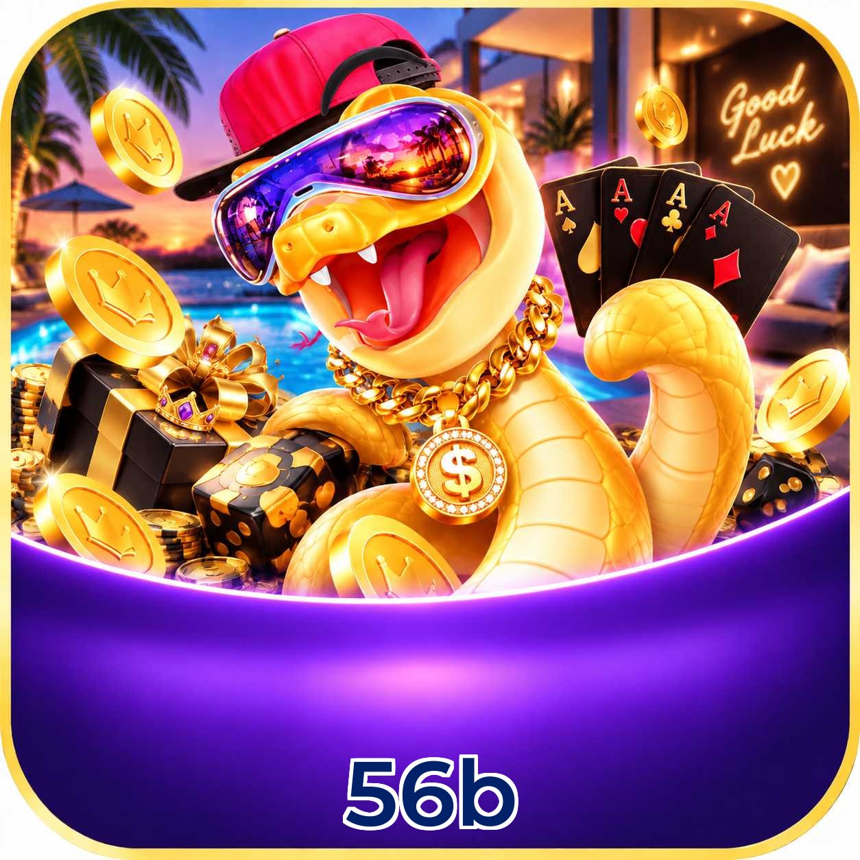 56b VIP Program
